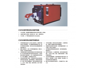 CWNS系列常壓熱水鍋爐